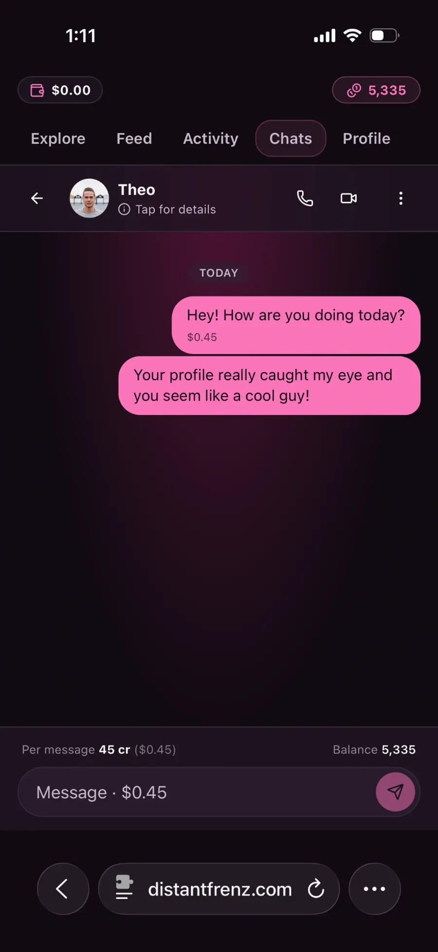 DistantFrenz chat conversation